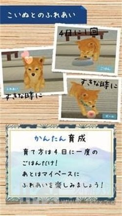 柴犬模拟器3D