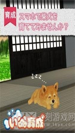 柴犬模拟器3D