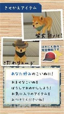 柴犬模拟器3D