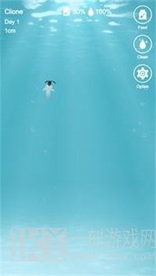 克莱昂生活