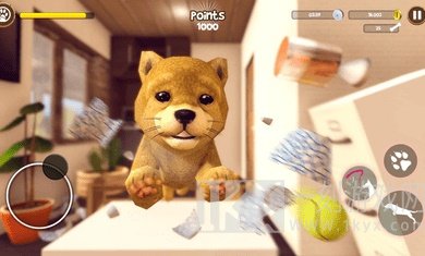 虚拟猫狗携带模拟器