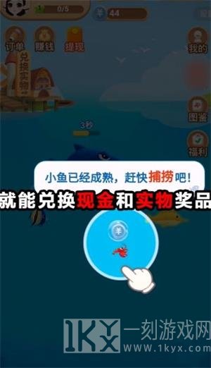 开心鱼塘