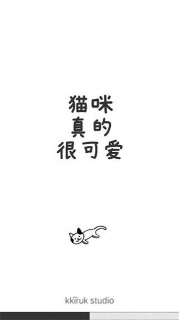 猫咪真的超可爱