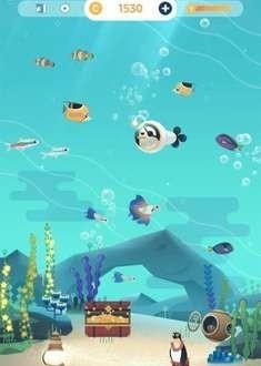 水族馆之谜