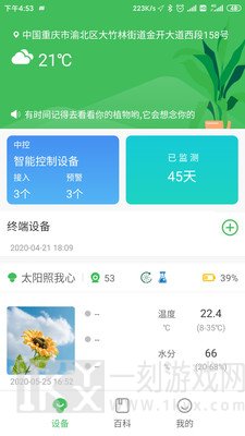 森林甜心