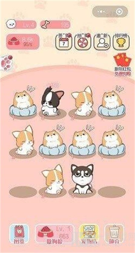 天天养狗狗