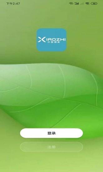 小智智能