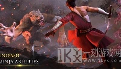忍者武士隆