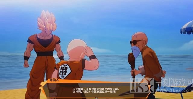 龟仙人的乐园