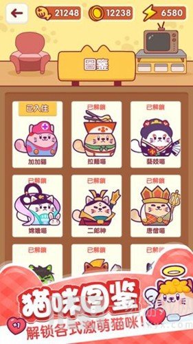 加加猫