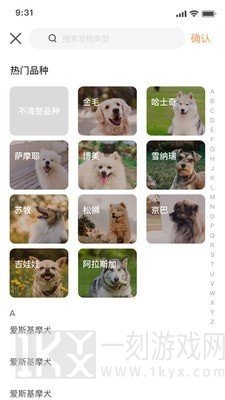 萌邦宠物