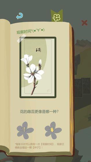老农种树无限种子