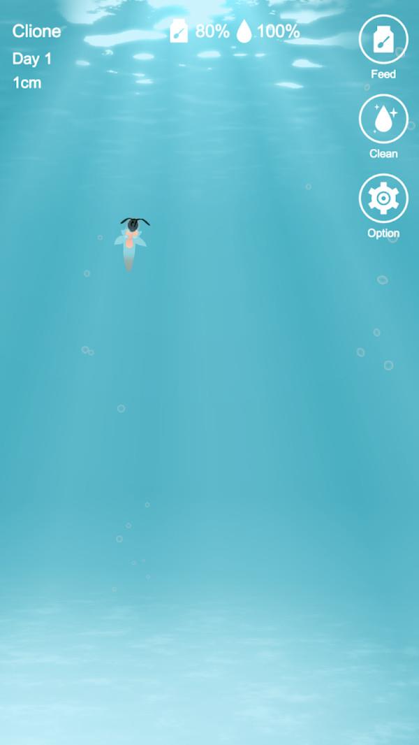 海天使生活