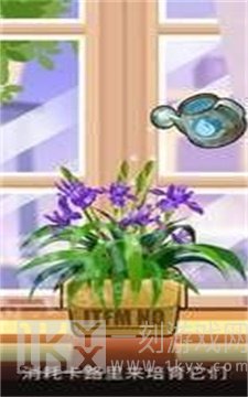 旺旺花园种花