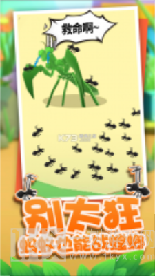 虫虫冲冲冲