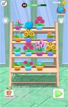 花王采集生长