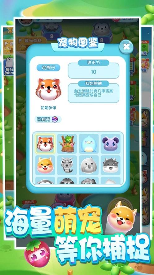 一起来捉宠
