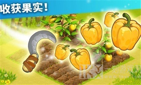 家庭岛