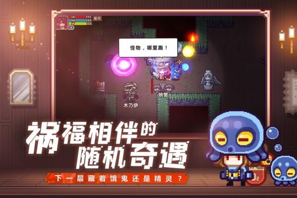 伊洛纳2021