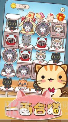 一画合猫
