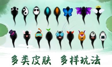 墨虾探蝌