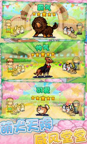发现狗狗乐园