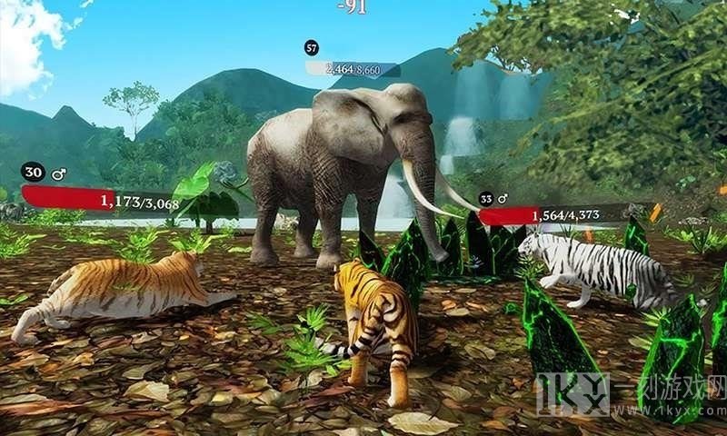老虎模拟狩猎3D