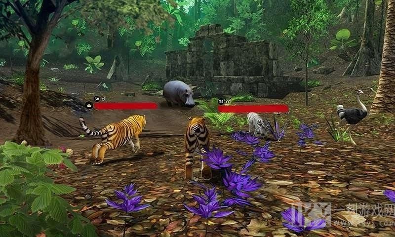 老虎模拟狩猎3D