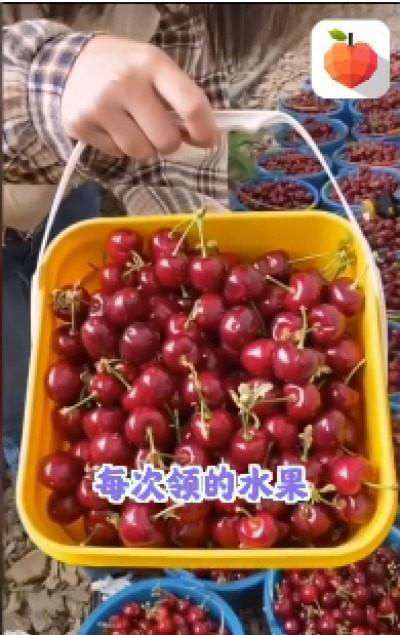 呱呱水果园