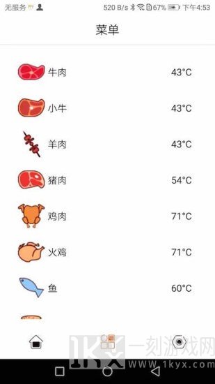烧烤温度计