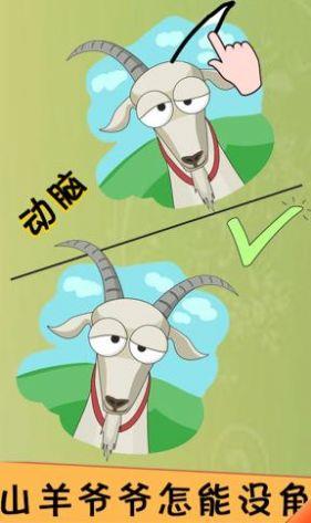 荒野极限日记