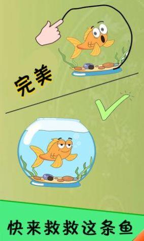 荒野极限日记