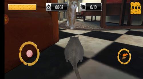 猫鼠之战