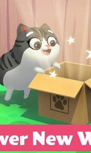 猫小盒2