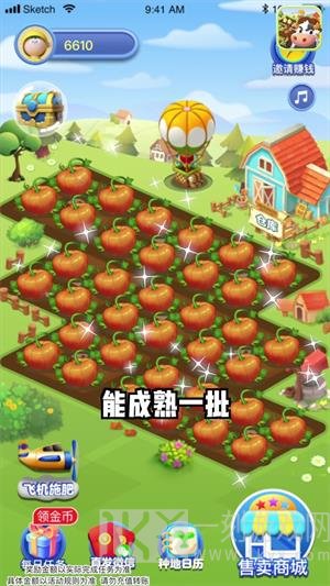 幸运农田