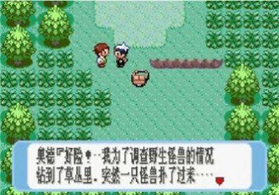 口袋妖怪始源红宝石