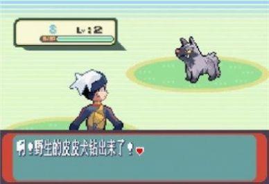 口袋妖怪始源红宝石