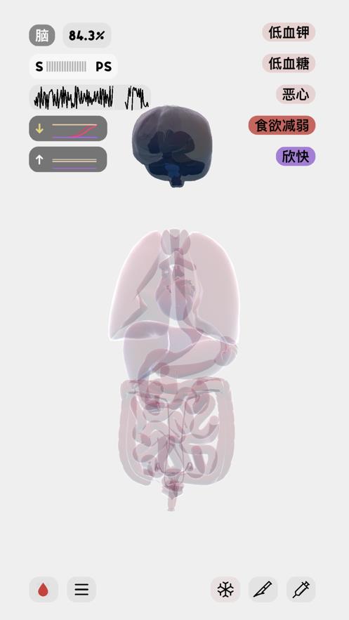 人体模拟器