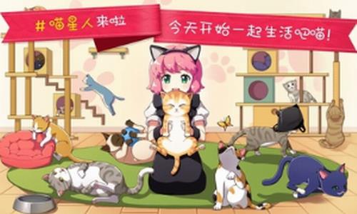 猫猫咖啡屋