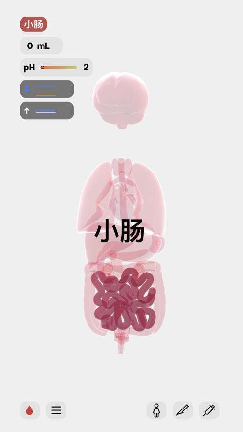人体模拟器