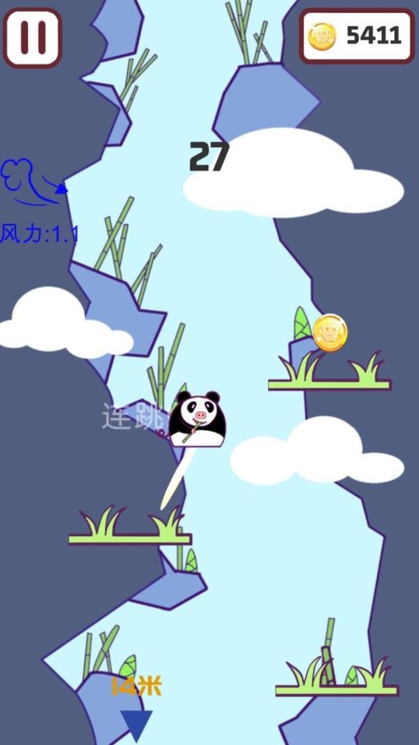 飞天猪
