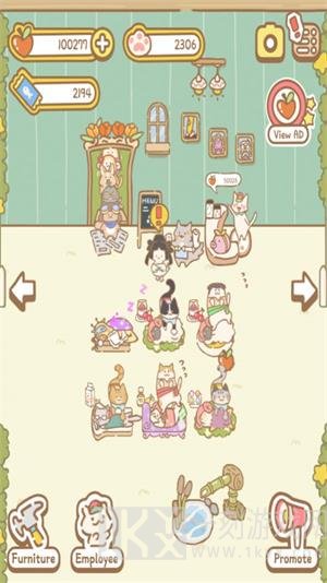 猫咪水疗中心