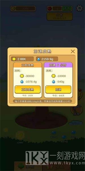 苹果多多