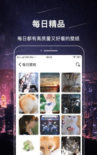 主题壁纸精灵