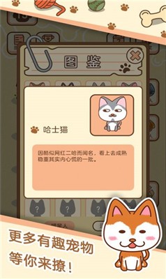 宠物对战