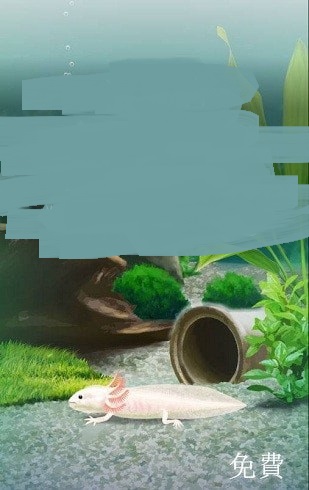 治愈的蝾螈育成