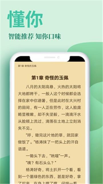 风行阅读网