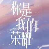 你是我的荣耀