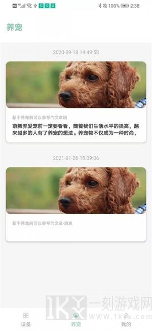 聚宠宠物