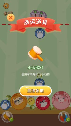 合成小动物